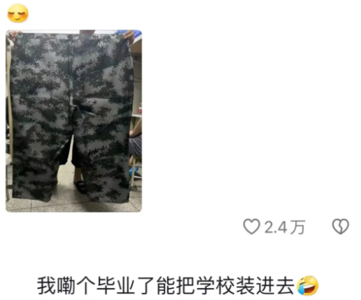 Word文档图片
