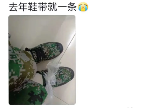 Word文档图片