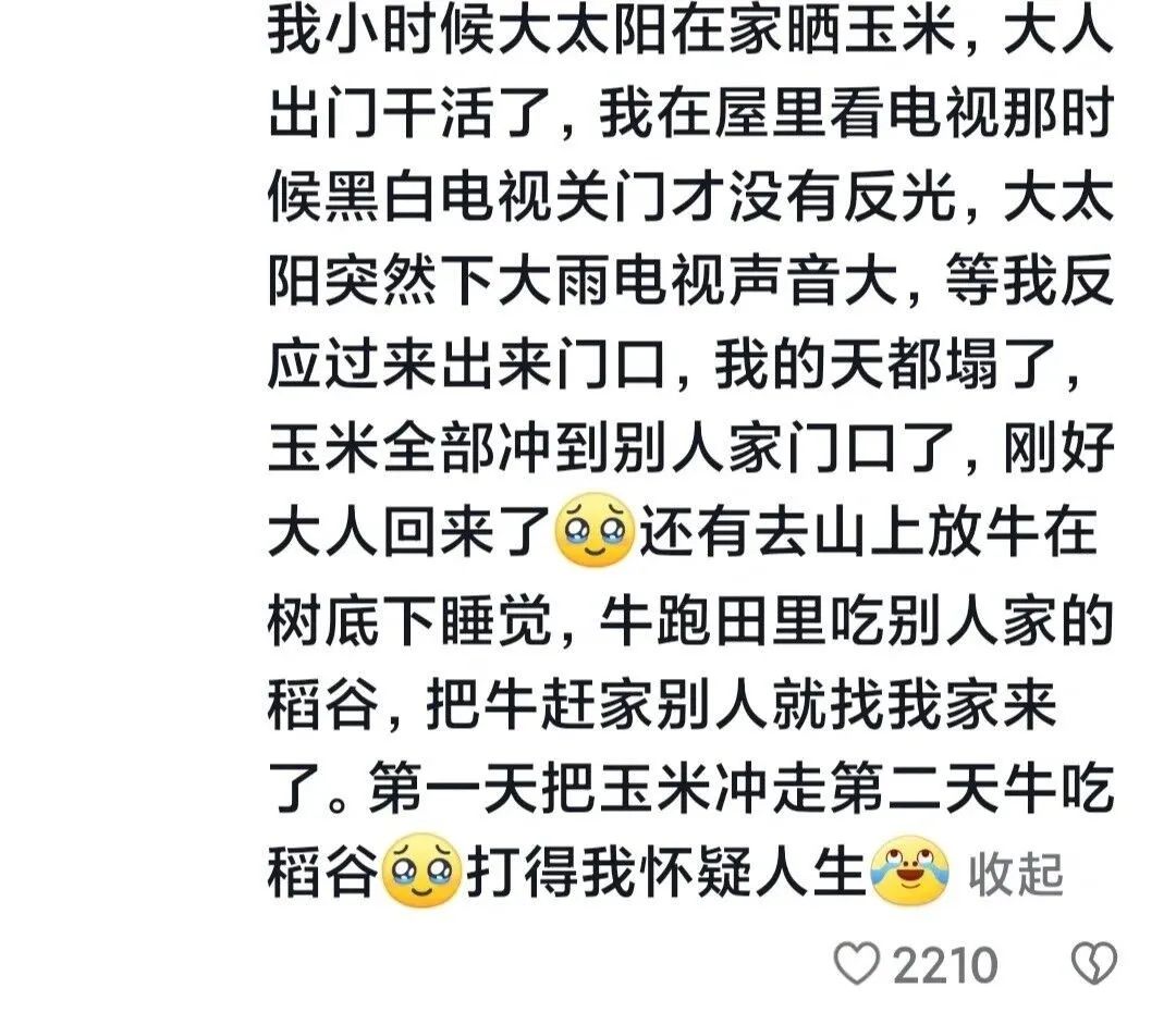Word文档图片