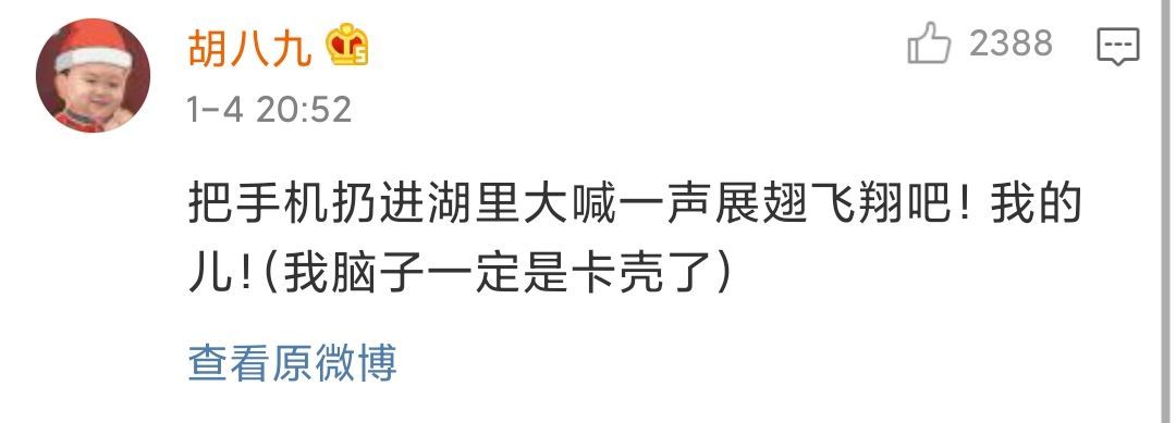 Word文档图片