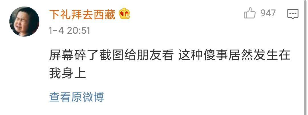 Word文档图片