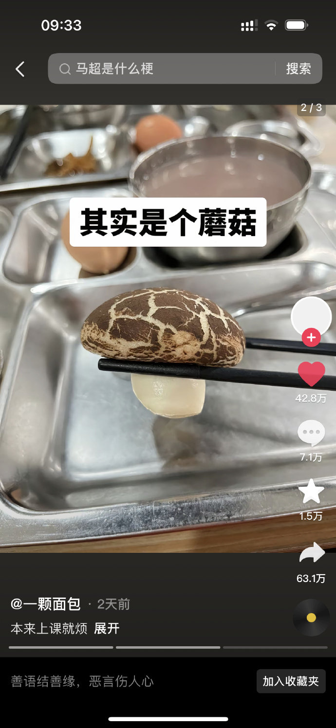 Word文档图片
