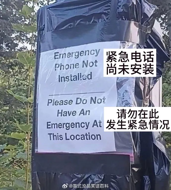 Word文档图片