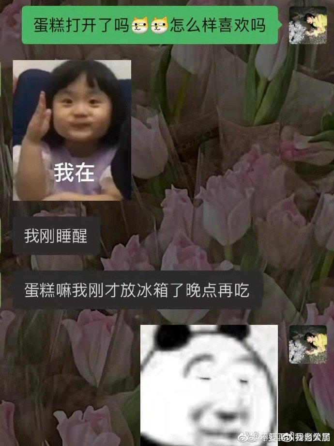 Word文档图片