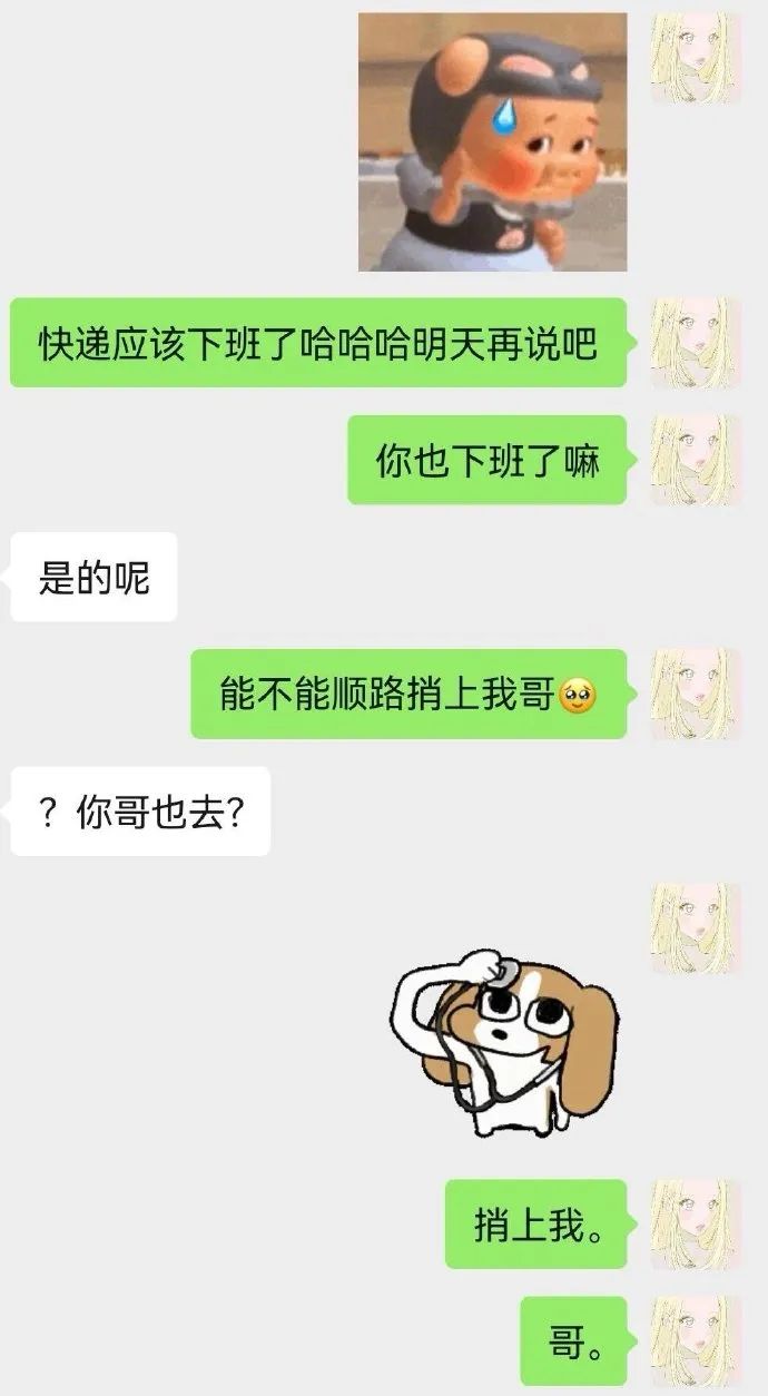 Word文档图片