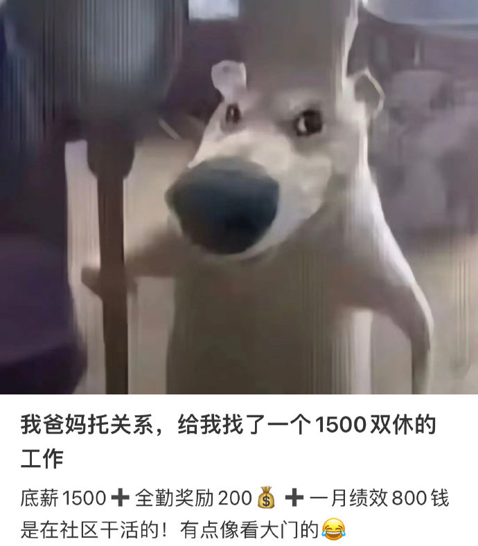 Word文档图片