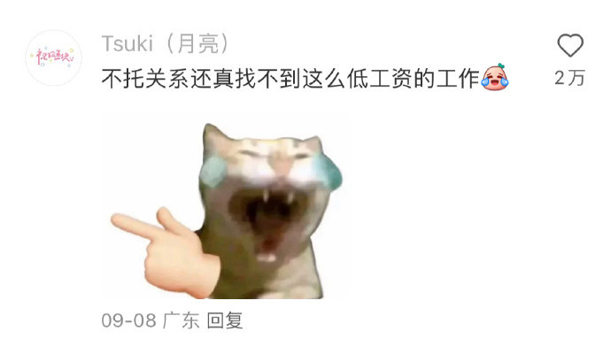 Word文档图片
