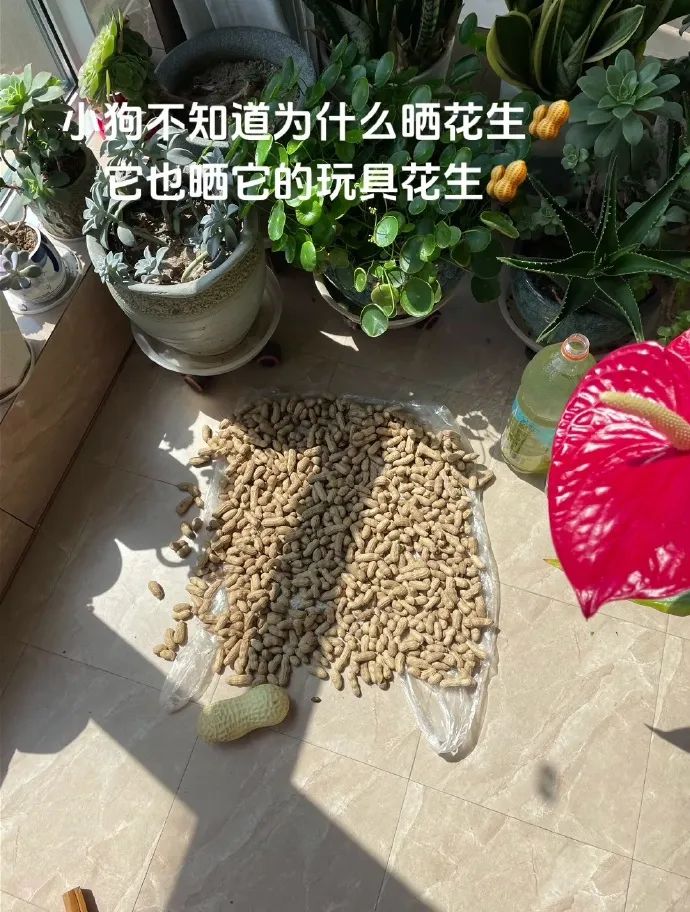 Word文档图片