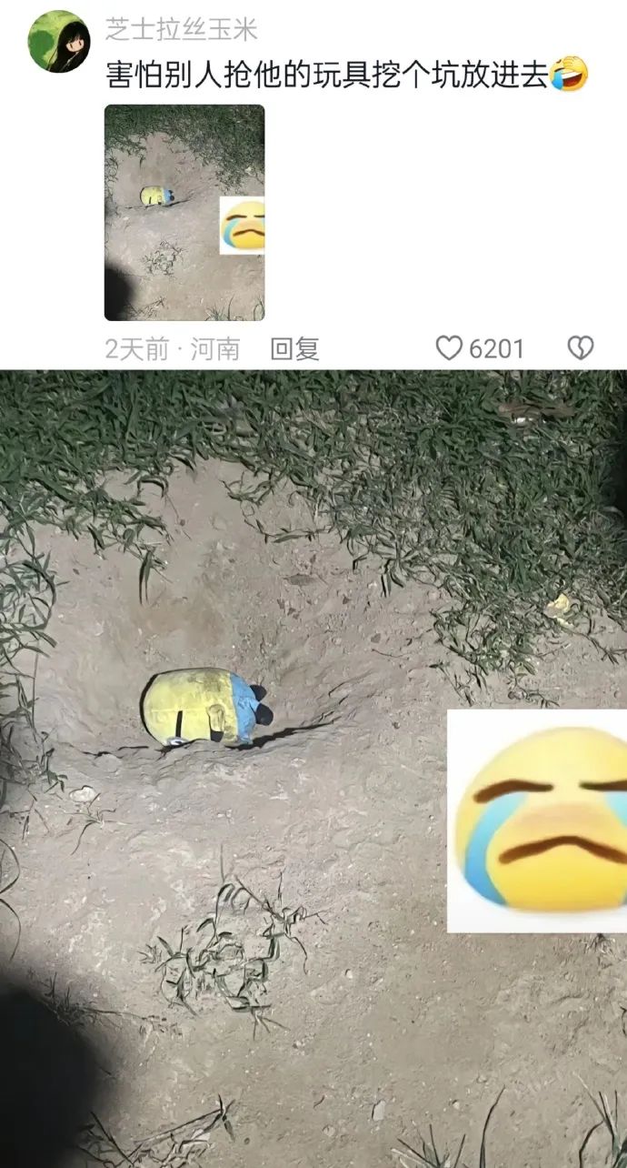 Word文档图片