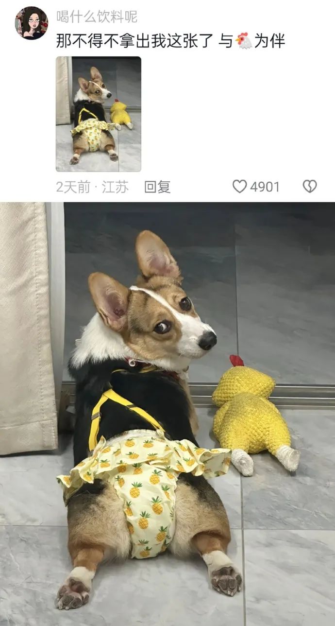 Word文档图片