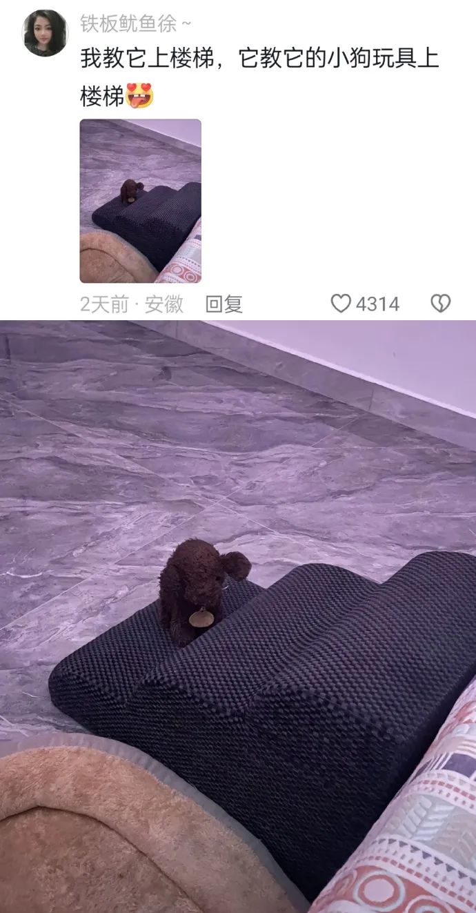 Word文档图片