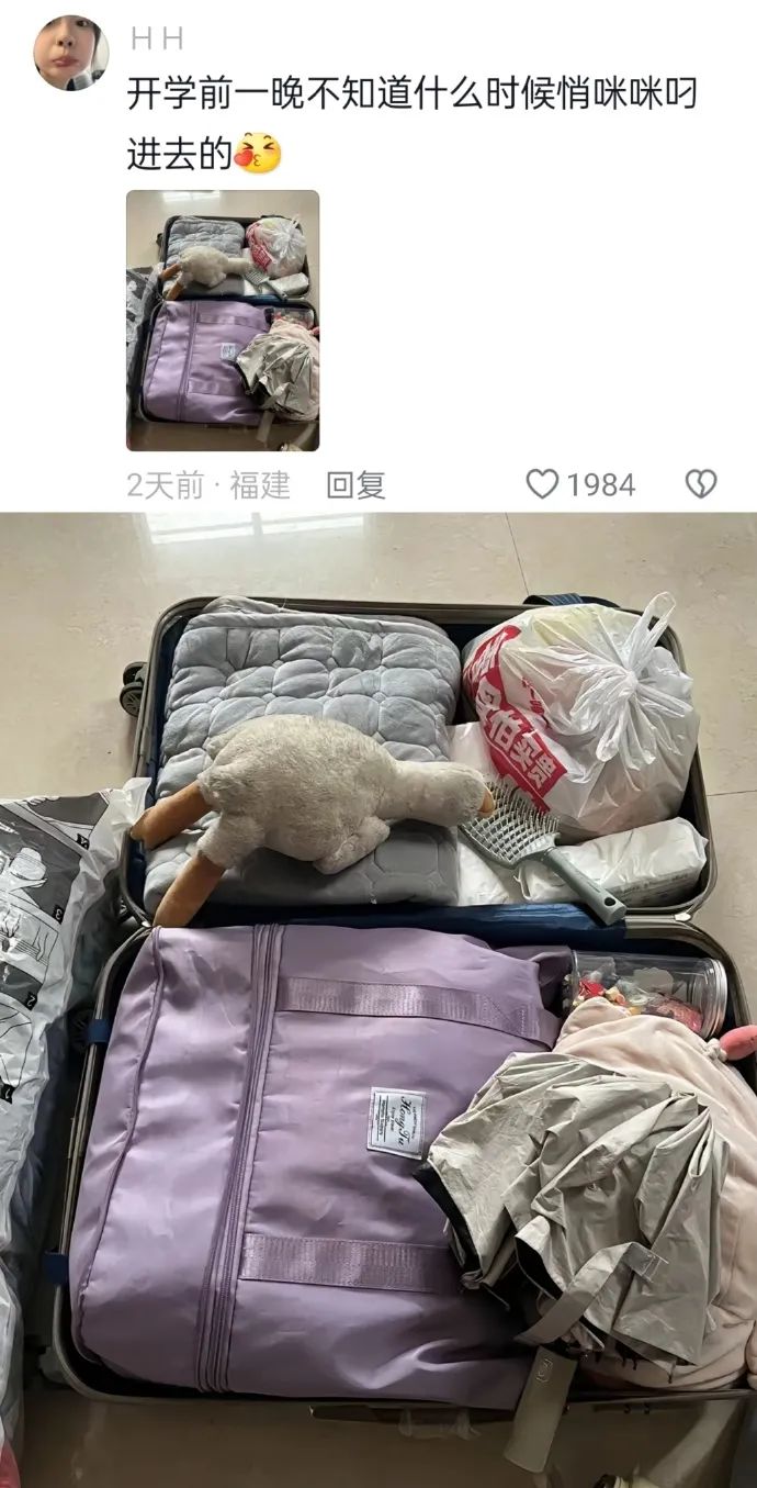 Word文档图片