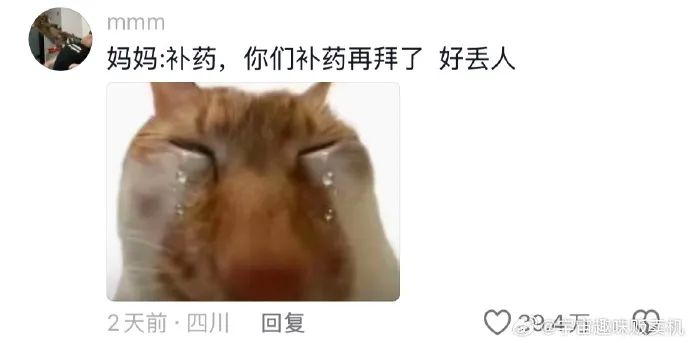 Word文档图片