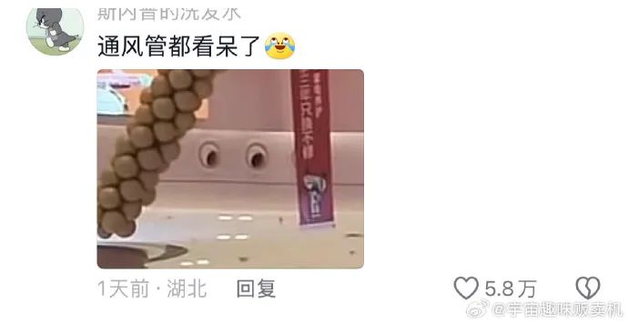 Word文档图片