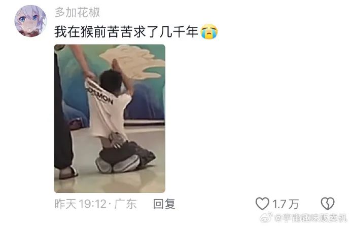 Word文档图片