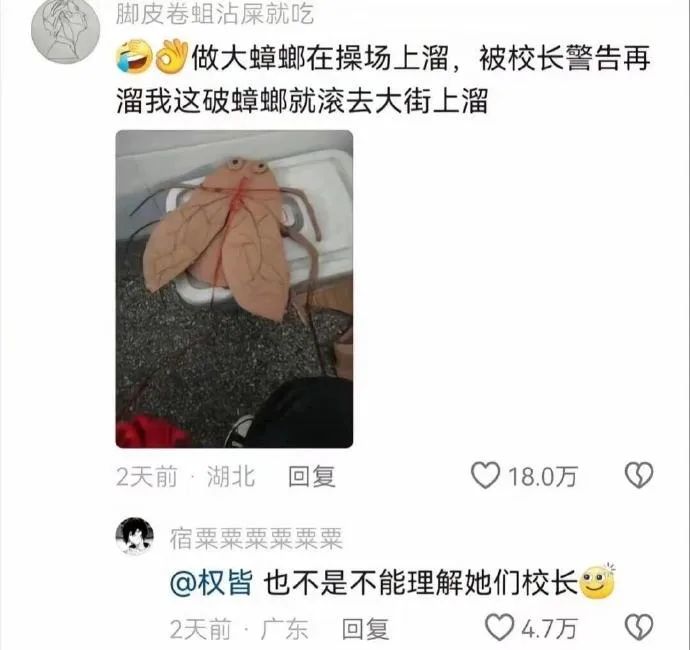 Word文档图片