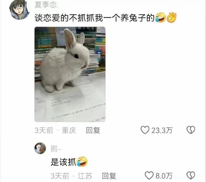 Word文档图片
