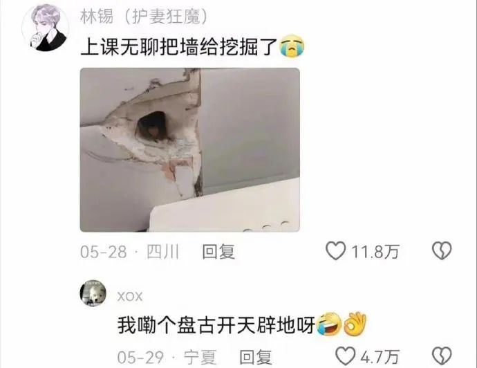 Word文档图片