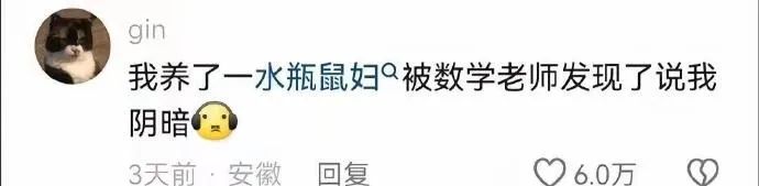 Word文档图片