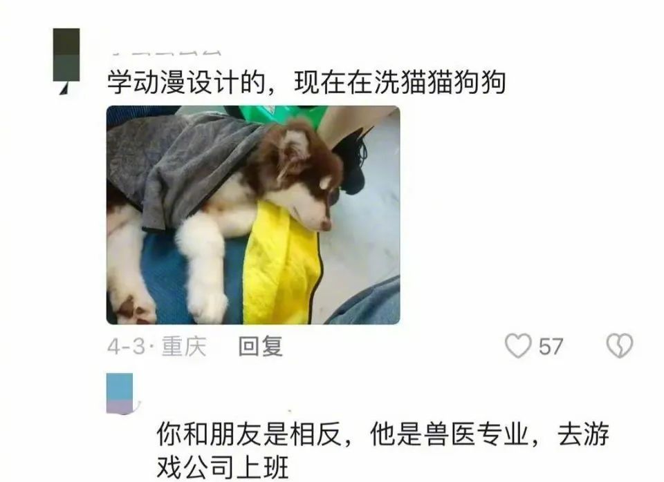 Word文档图片