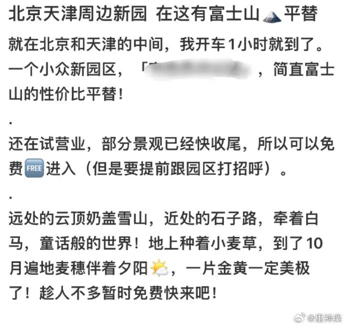 Word文档图片