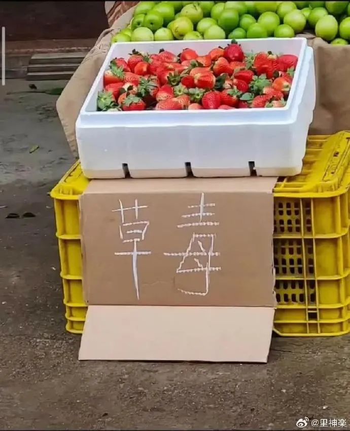 Word文档图片