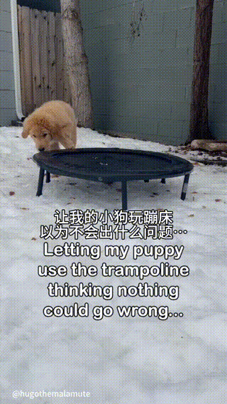 Word文档图片