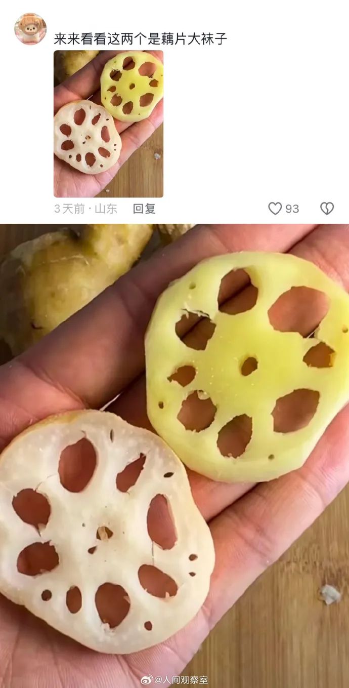 Word文档图片