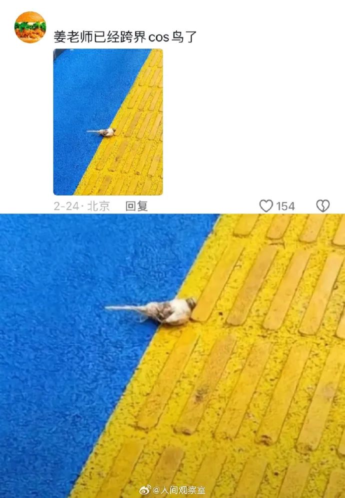 Word文档图片