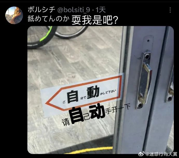 Word文档图片