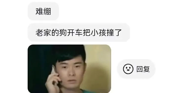 Word文档图片