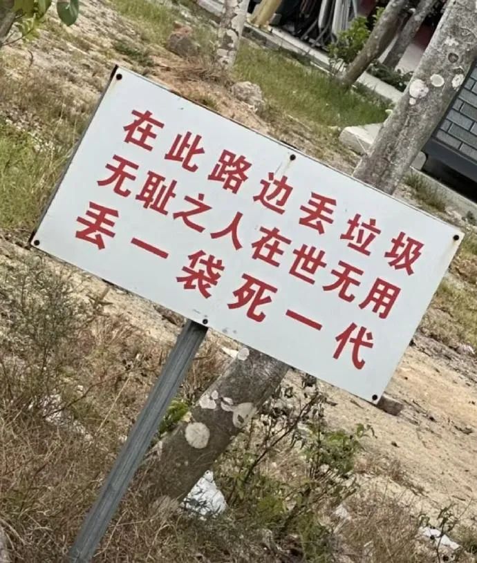 Word文档图片