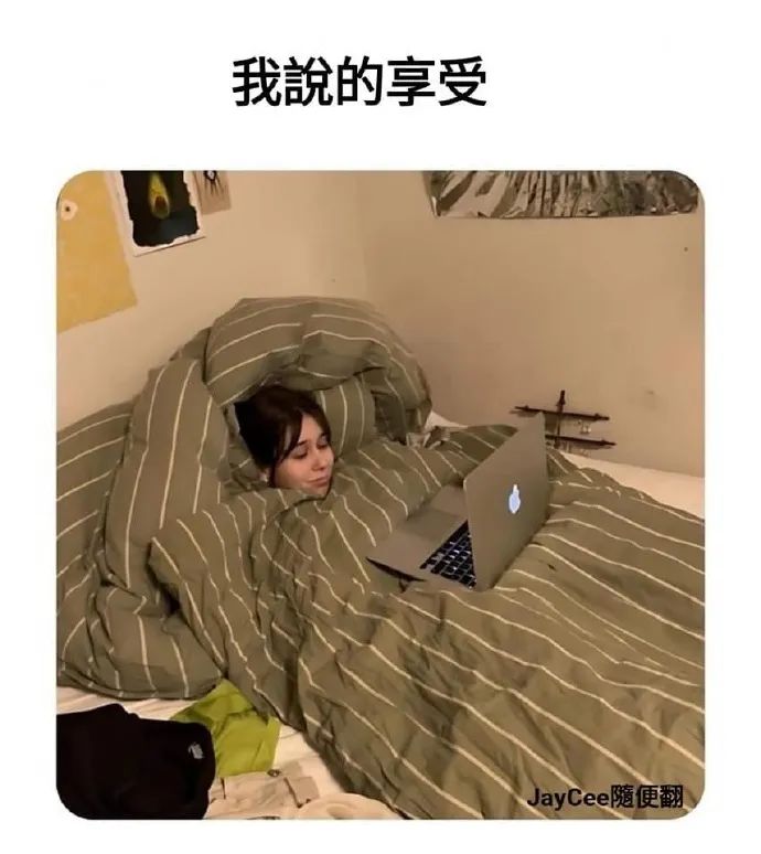 Word文档图片